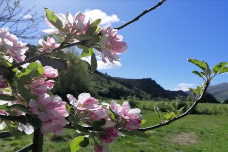 Photo of property in 1142 Garston-athol Highway, Athol, 9793