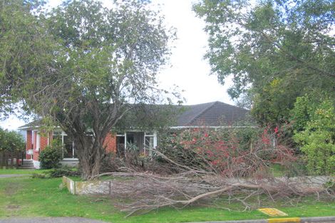 Photo of property in 16 Hillstone Avenue, Gate Pa, Tauranga, 3112