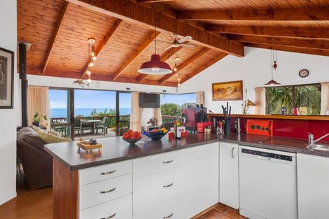 Photo of property in State Highway 35, Te Kaha, 3199