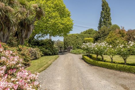 Photo of property in 245 Prestons Road, Marshland, Christchurch, 8051