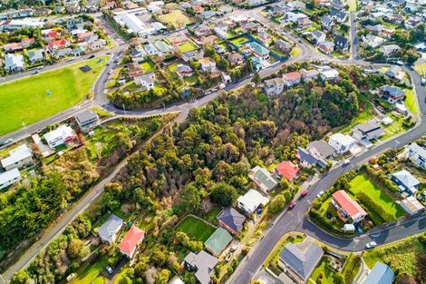 Photo of property in 115 Dunrobin Street, Waverley, Dunedin, 9013