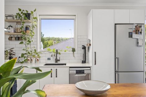 Photo of property in 1a Lafferty Street, Maeroa, Hamilton, 3200