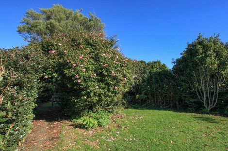 Photo of property in 58 Munns Road, Raglan, 3296