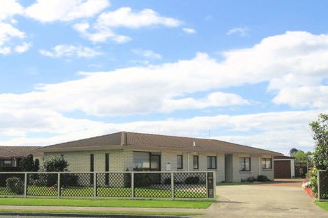 Photo of property in 81 Gloucester Road, Mount Maunganui, 3116