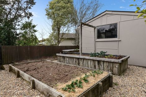 Photo of property in 45 Crosby Road, Chartwell, Hamilton, 3210