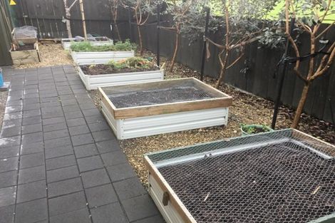 Photo of property in 16 Mckenzie Place, Matamata, 3400