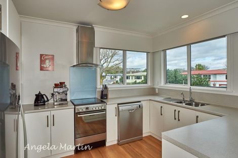Photo of property in 19 Newcastle Street, Hokowhitu, Palmerston North, 4410