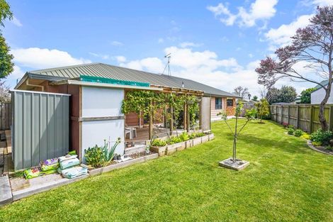 Photo of property in 17 Mews Place, Forest Lake, Hamilton, 3200