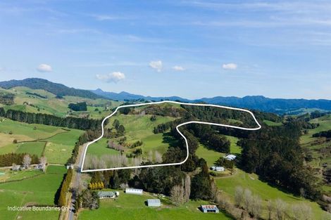 Photo of property in 118 Pukewera Road, Waihi, 3682
