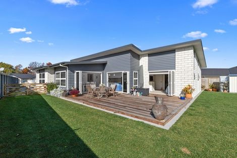 Photo of property in 49 Ritchie Street, Te Aroha, 3320