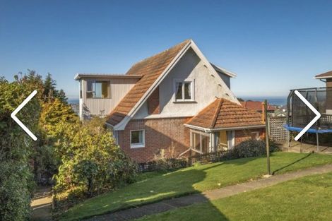 Photo of property in 17 Leven Street, Roslyn, Dunedin, 9010