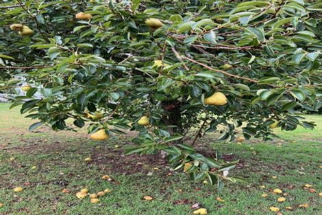 Photo of property in 19 Arawa Place, Onerahi, Whangarei, 0110