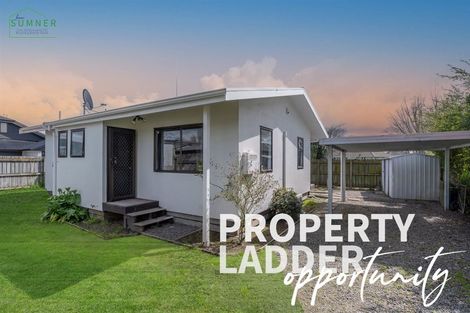 Photo of property in 25b Ross Crescent, Fairfield, Hamilton, 3214