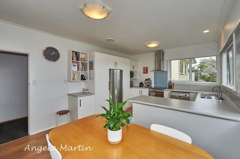 Photo of property in 19 Newcastle Street, Hokowhitu, Palmerston North, 4410