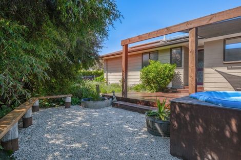 Photo of property in 25 Anglesea Street, Renwick, 7204