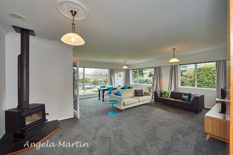 Photo of property in 19 Newcastle Street, Hokowhitu, Palmerston North, 4410