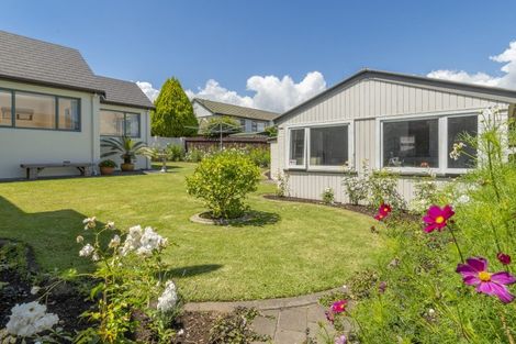 Photo of property in 80 Fifth Avenue, Tauranga, 3110