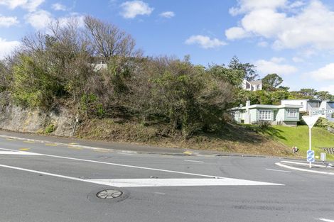 Photo of property in 33 Liardet Street, Vogeltown, Wellington, 6021