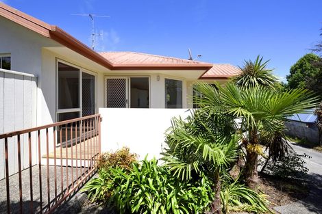 Photo of property in 120 Templemore Drive, Richmond, 7020