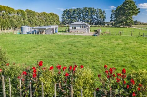 Photo of property in 25 Boulton Road, Levin, 5510