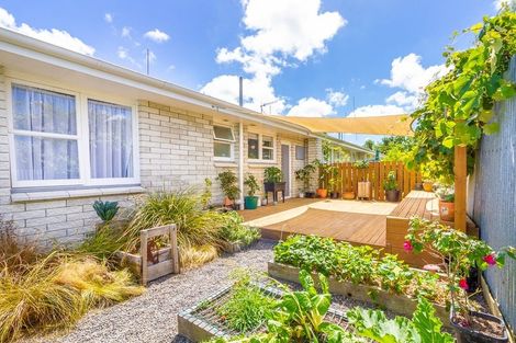 Photo of property in 3/123 Vogel Street, Roslyn, Palmerston North, 4414