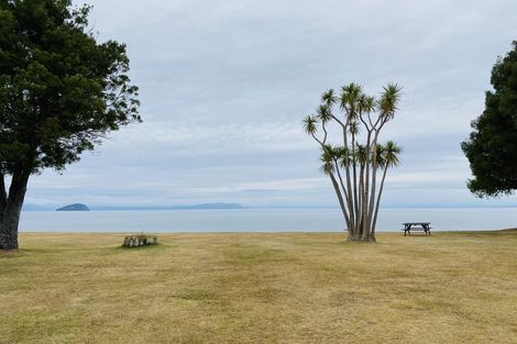 Photo of property in 131 Arapera Road, Hatepe, Turangi, 3382