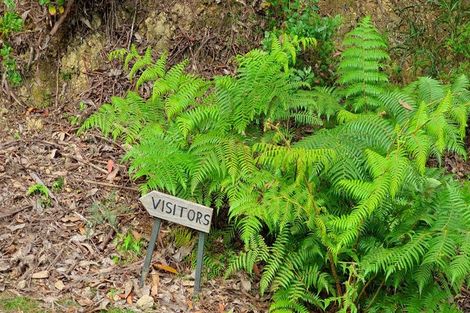 Photo of property in 4 Schoolhouse Bay Road, Kawau Island, 0920