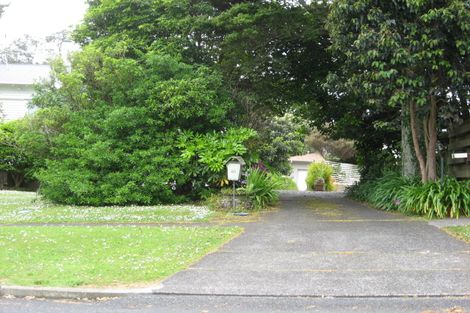 Photo of property in 20 Totara Avenue, Pukekohe, 2120