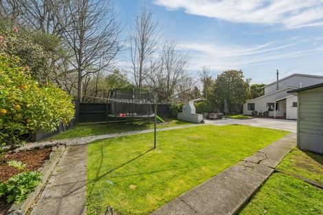 Photo of property in 17 Lionel Street, Avonside, Christchurch, 8061