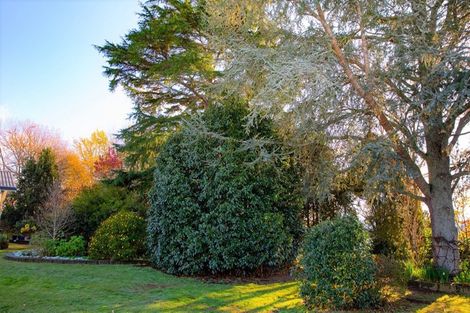 Photo of property in 166 Okoroire Road, Tirau, 3485