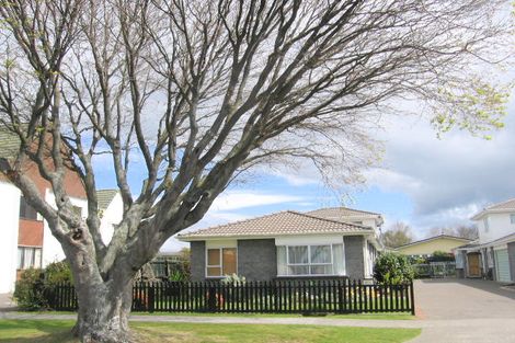Photo of property in 25c Eason Street, Victoria, Rotorua, 3010