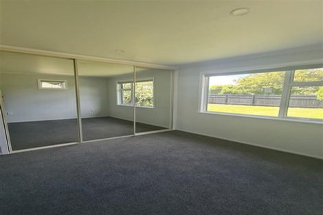 Photo of property in 295 Peachgrove Road, Fairfield, Hamilton, 3214