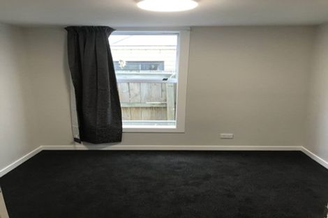 Photo of property in 275 Castle Street, Dunedin Central, Dunedin, 9016