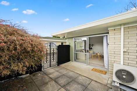 Photo of property in 49 Rimu Street, Maeroa, Hamilton, 3200
