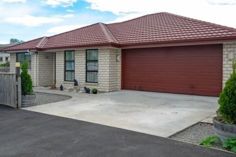 Photo of property in 17 Elzy Street, Blenheim, 7201