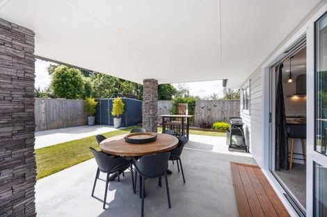 Photo of property in 15b Chamberlain Street, Feilding, 4702