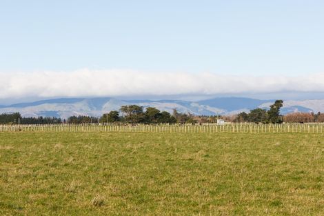 Photo of property in 55 The Strand, Fitzherbert, Palmerston North, 4410