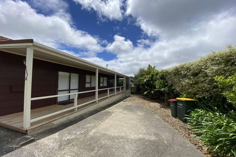 Photo of property in 111a Wellington Street, Pukekohe, 2120