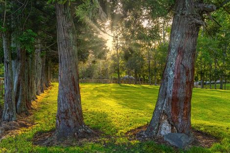 Photo of property in 713 Ararimu Valley Road, Helensville, 0882