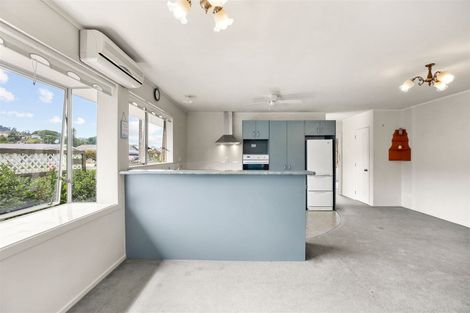 Photo of property in 209a Heale Street, Thames, 3500