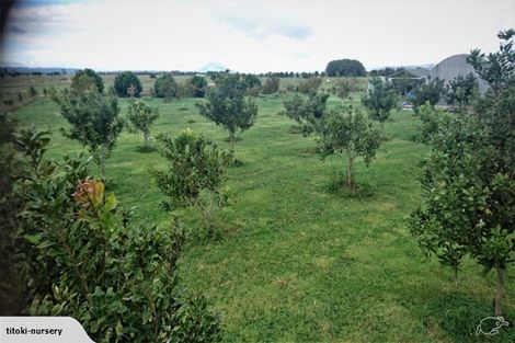 Photo of property in 324 Greig Road, Matata, Whakatane, 3194