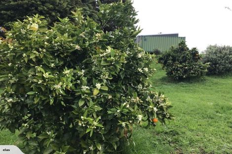 Photo of property in 704 Ngunguru Road, Glenbervie, Whangarei, 0173