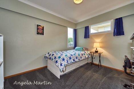 Photo of property in 19 Newcastle Street, Hokowhitu, Palmerston North, 4410