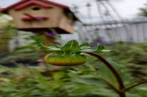 Photo of property in 30a Langstone Street, Welcome Bay, Tauranga, 3112