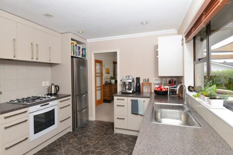 Photo of property in 22 Charles Crescent, Beerescourt, Hamilton, 3200