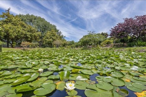 Photo of property in 75 Makora Road, Otaihanga, Paraparaumu, 5036
