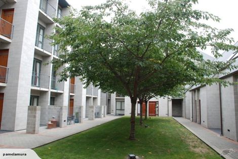 Photo of property in 1/868 Colombo Street, Christchurch Central, Christchurch, 8013