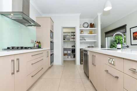 Photo of property in 4 Michael Terrence Place, Flagstaff, Hamilton, 3210