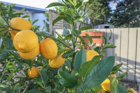Photo of property in 16 Newton Street, Ngaruawahia, 3720