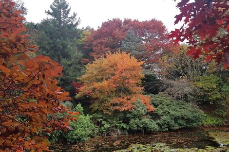 Photo of property in 38 Grammar Street, Kimbolton, 4777